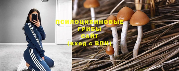 твердый Медвежьегорск